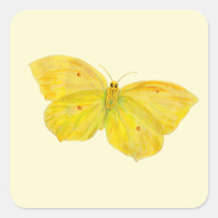 Gele vlindervliegende brimstone vierkante sticker