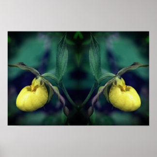 Gele Vrouwenschoen Orchidee Bloem Natuur Kunst Poster