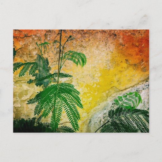 Gele wand met plant briefkaart (Voorkant)