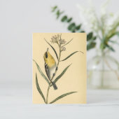  Gele Warbler Bird Briefkaart (Staand voorkant)