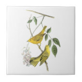 Gele Warbler door Audubon Tegeltje (Voorkant)