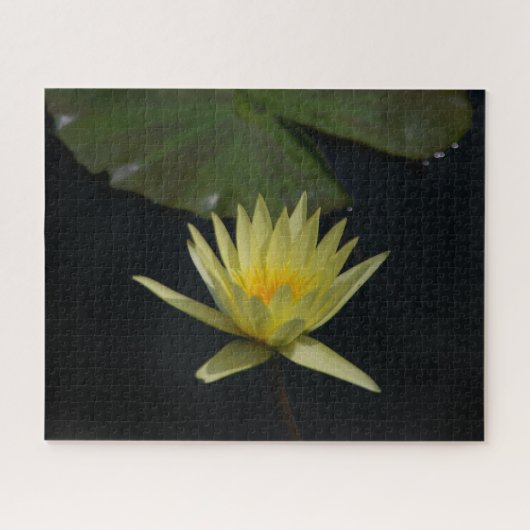 Gele Waterlelie Legpuzzel (Horizontaal)