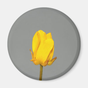 Gele wilde bloem magneet