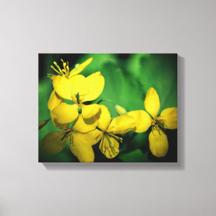  gele wilde bloemen canvas afdruk
