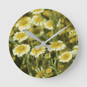 Gele wilde bloemen ronde klok