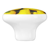 GELE WINTER SQUASH OP KERAMISCHE KNOP (Zijkant)