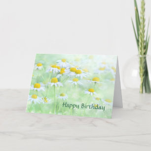 Gele Witte Daisies Verjaardag Kaart