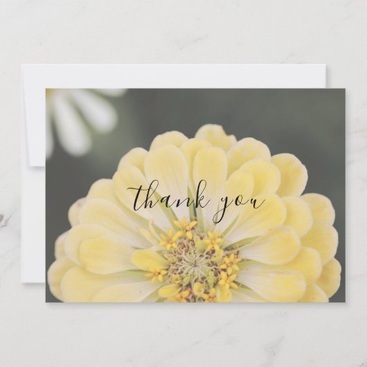 Gele Zinnia Bloem Vlak Dank u kaart (Voorkant)