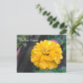 Gele Zinnia Briefkaart (Staand voorkant)