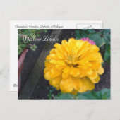 Gele Zinnia Briefkaart (Voorkant / Achterkant)