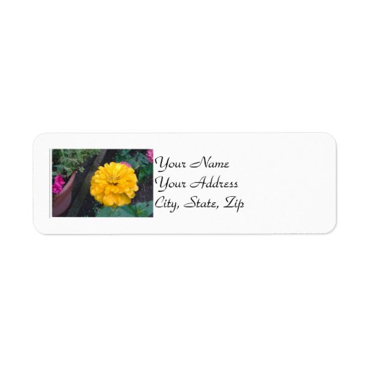 Gele Zinnia Etiket (Voorkant)
