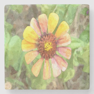 Gele zinnia Flower Stenen Onderzetter