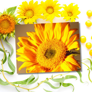 Gele Zonnebloem Ansichtkaart Briefkaart