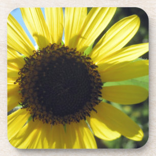 Gele zonnebloem bier onderzetter