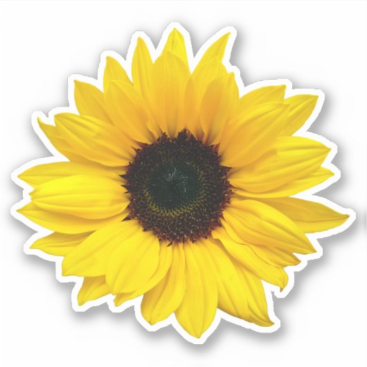 Gele Zonnebloem Bloem Kus-Uitgesneden Sticker (Voorkant)