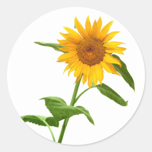 Gele Zonnebloem Bloemen Stickers (Voorkant)