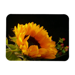 Gele Zonnebloem Bloesem Magneet