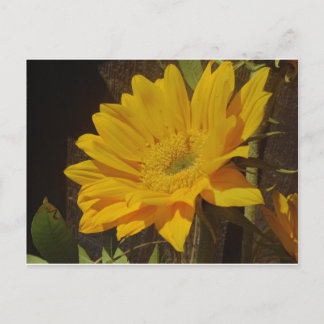 Gele zonnebloem briefkaart