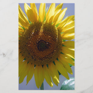 Gele zonnebloem briefpapier