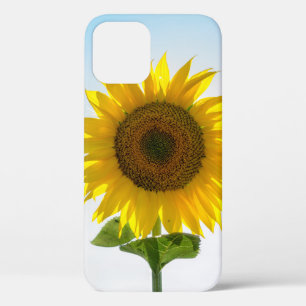 Gele zonnebloem iPhone 12 hoesje