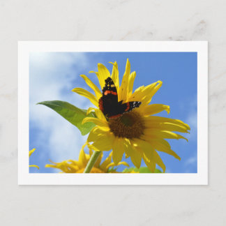 Gele zonnebloem en rode admirale vlinder briefkaart