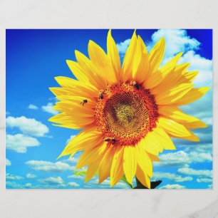 gele zonnebloem flyer