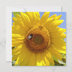 Gele zonnebloem kaart