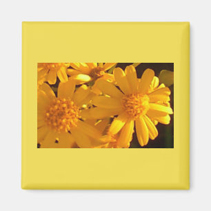 Gele zonnebloem magneet