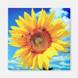Gele zonnebloem Magnet Magneet