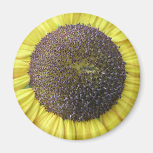 Gele zonnebloem Magnet Magneet