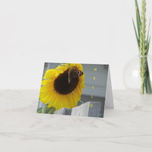Gele zonnebloem met Buckeye Butterfly Kaart