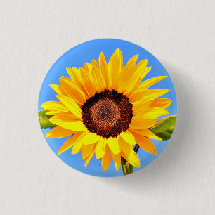 Gele zonnebloem op Blue Sky Button