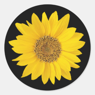 Gele zonnebloem op zwart ronde sticker