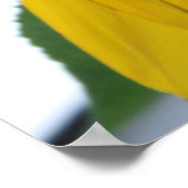 gele zonnebloem poster (Hoek)