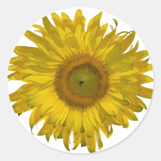 Gele zonnebloem ronde sticker (Voorkant)