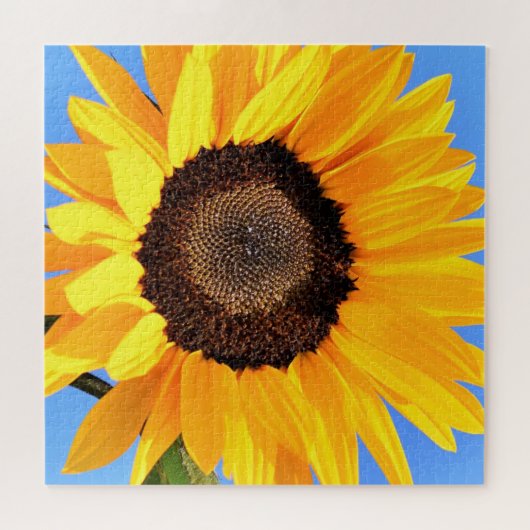 Gele zonnebloem tegen zon op blauwe hemel - zomer legpuzzel (Horizontaal)