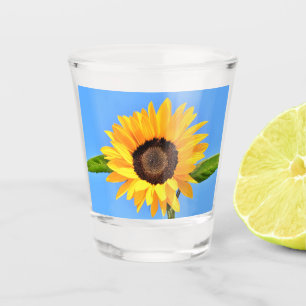 Gele zonnebloem tegen zon op blauwe hemel - zomer shot glas