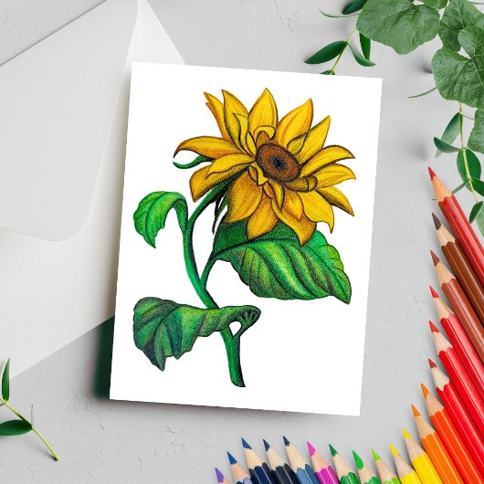 Gele Zonnebloem Tekening Gekleurd Potlood Briefkaart