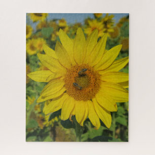 gele zonnebloem zomer bloesem legpuzzel