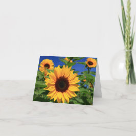 Gele zonnebloemen, blanco notiecard kaart
