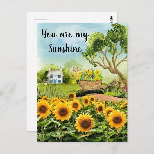 Gele zonnebloemen Landschap Briefkaart (Voorkant / Achterkant)