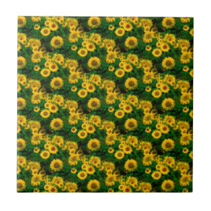 gele zonnebloemen tegeltje
