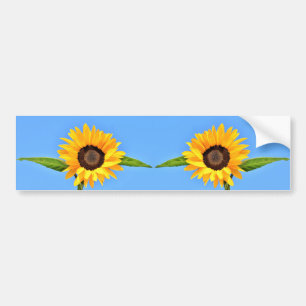 Gele zonnebloemen tegen zon op blauwe hemel - zome bumpersticker