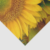 Gele Zonnebloemen Zomer Weefsel Papier Wrap (Detail)