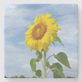 Gele zonnebloempjes Onderzetters (Voorkant)