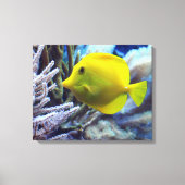 Gele zoutwater Tang Fish Canvas Afdruk (Voorkant)
