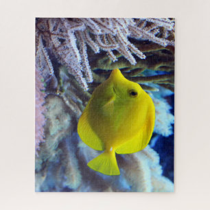 Gele zoutwater Tang Fish Legpuzzel