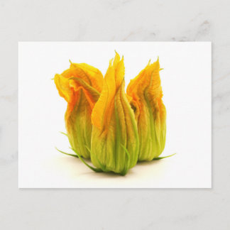 Gele zucchini-bloem briefkaart