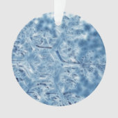 Gelée Cristal de glace Flocon de neige fractal (devant)