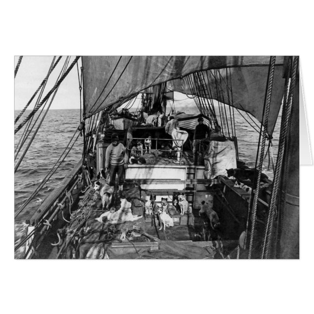 Geleide honden op Zee (Voorkant Horizontaal)